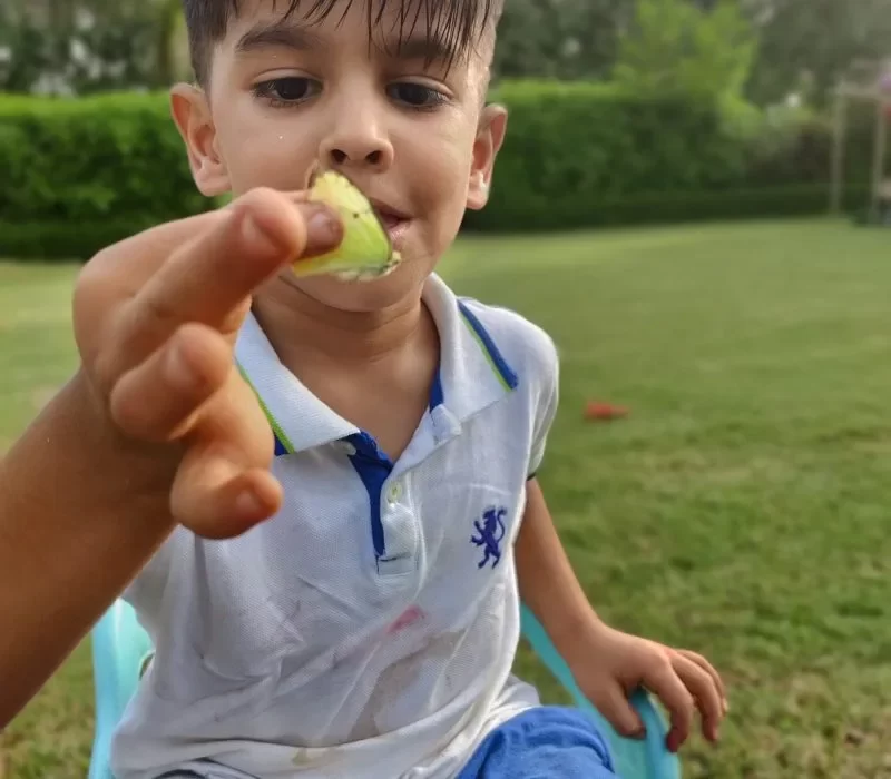 A Toddler holding Butterfly at Sneha's Imagination